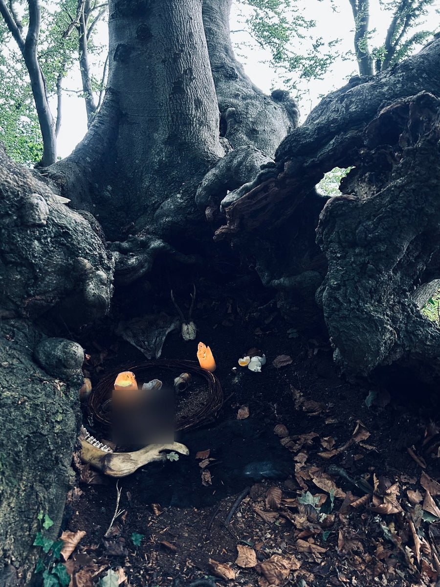 Candles inside the hollow roots of an old tree