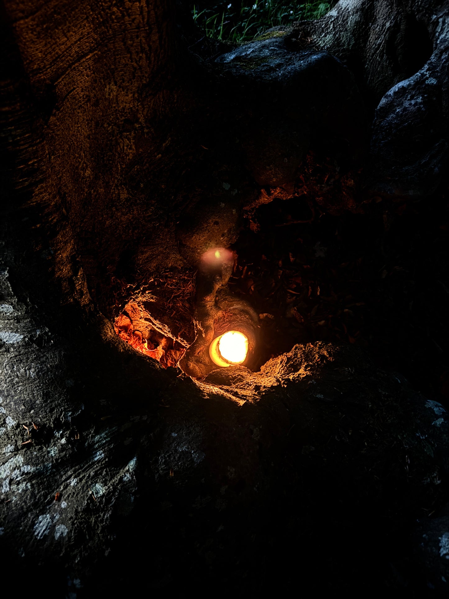 The Root Gate