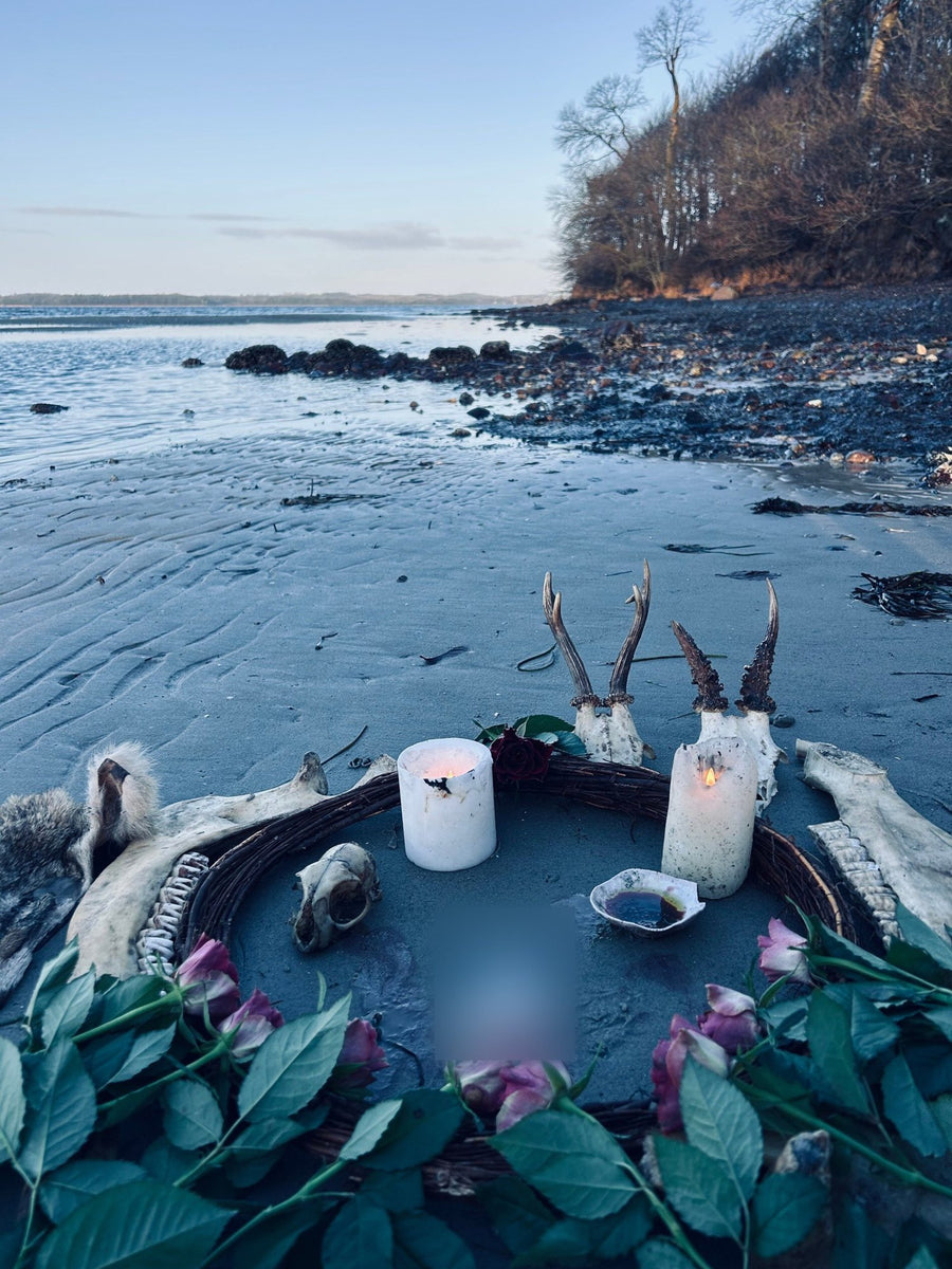 Gratitude to Freyja, on the beach at low tide