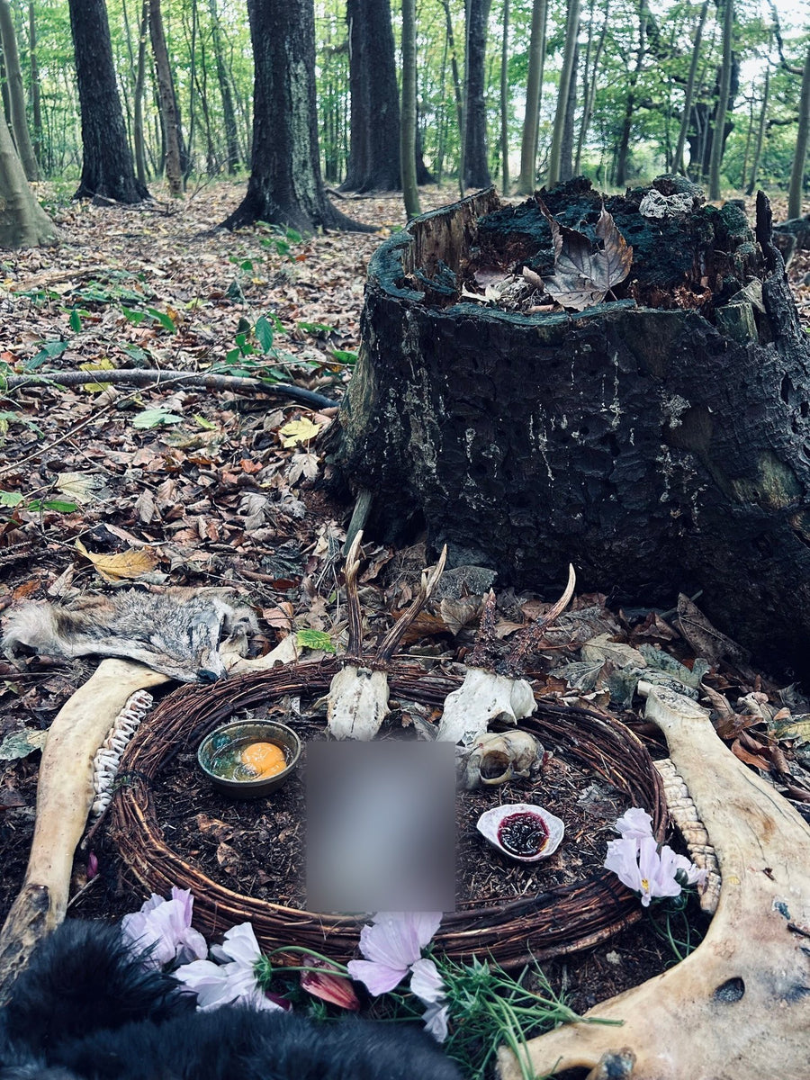 A custom ritual in the beech forest