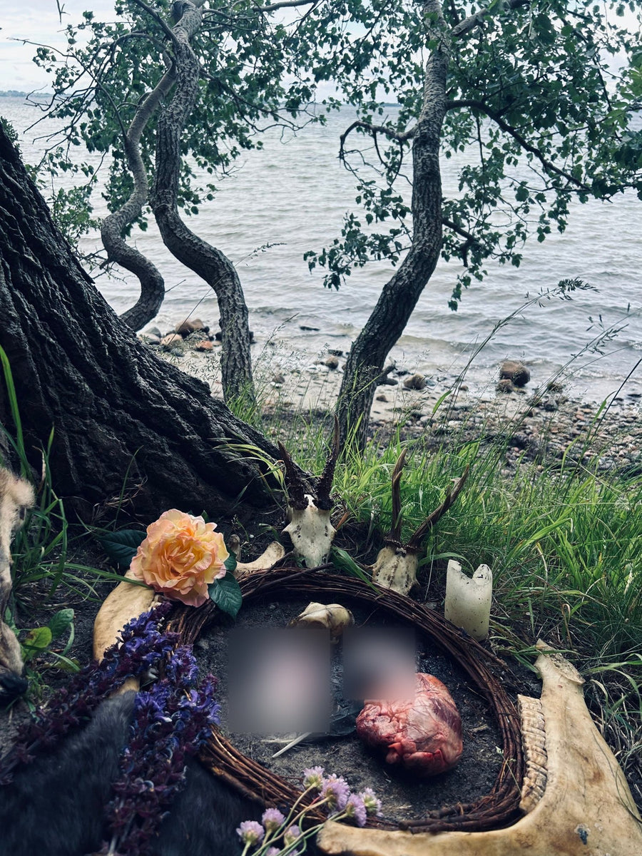 Huginn and Muninn, between the trees on the shore