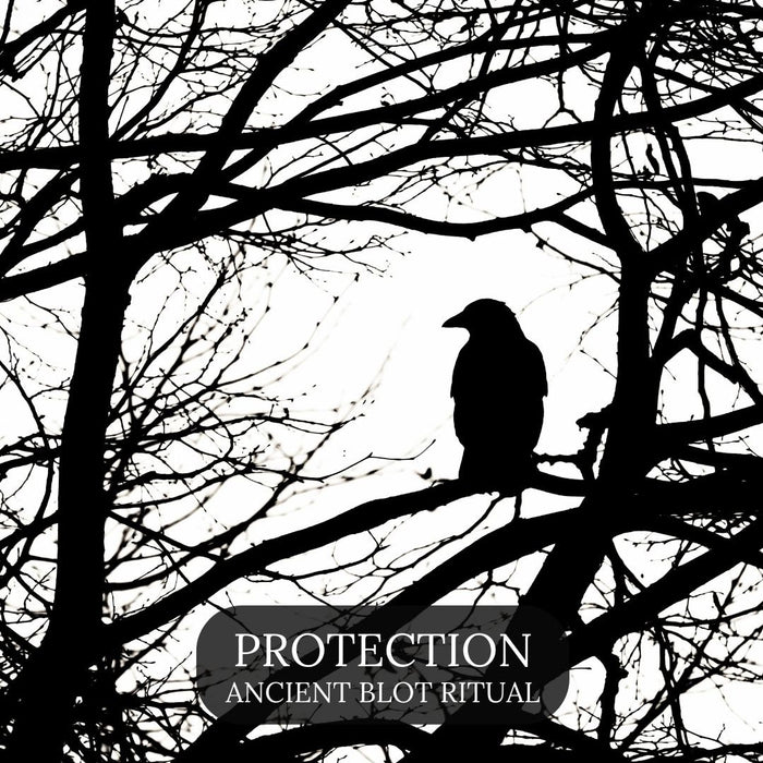 Protection Blót with Thor