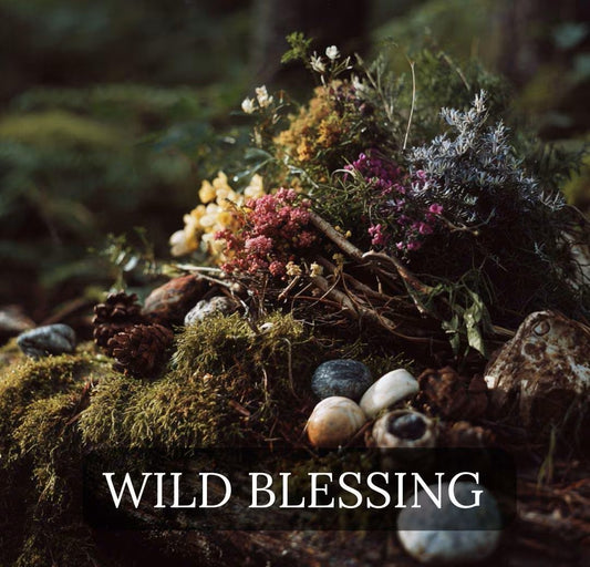 Wild Blessings